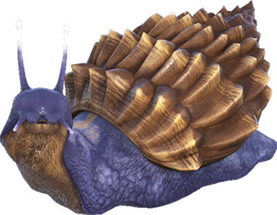 Achatina icon