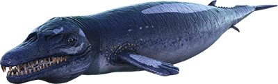 Basilosaurus icon