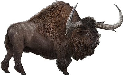 Bison icon