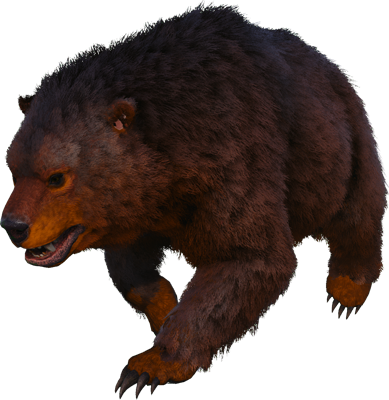 Dire Bear icon