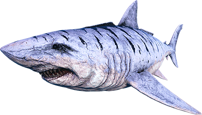 Megalodon icon